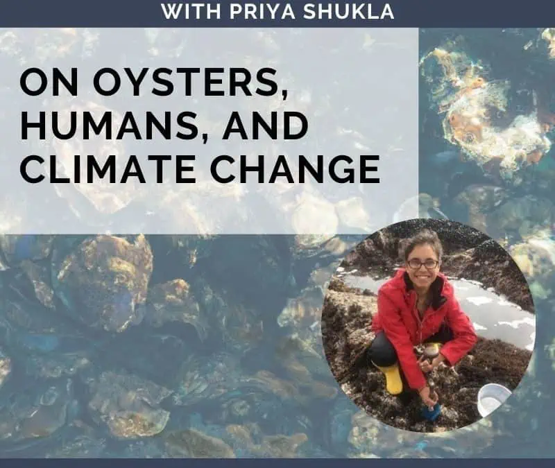 On Oysters, Humans, and Climate Change with Priya Shukla