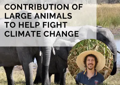 Contribution of Large Animals to Help Fight Climate Change with Dr. Fabio Berzaghi