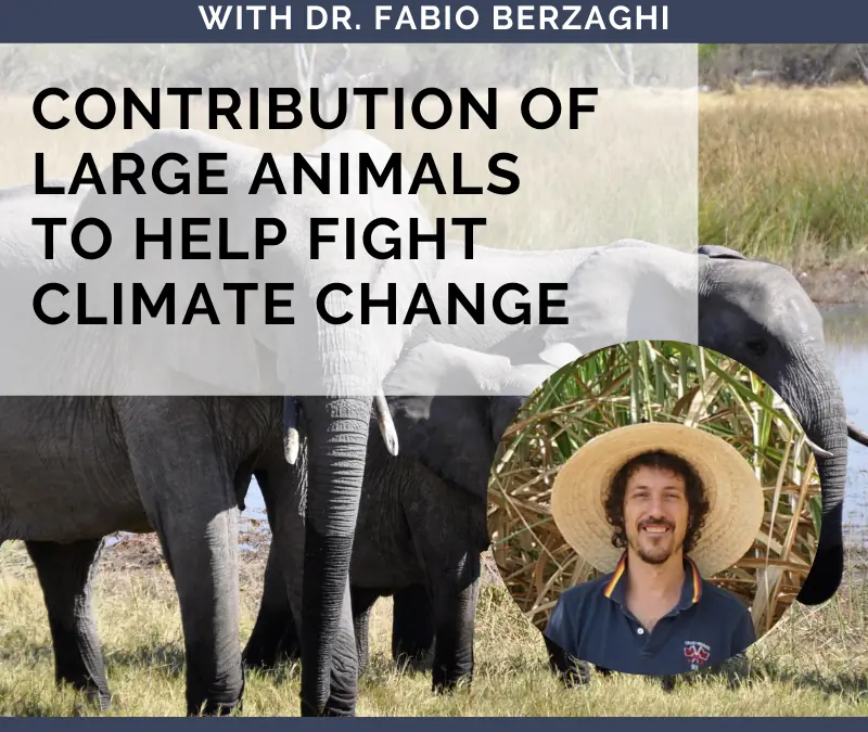 Contribution of Large Animals to Help Fight Climate Change with Dr. Fabio Berzaghi