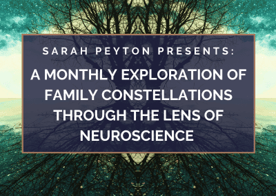 Monthly Neuroscience and Constellations Series 2022-2023: Supporting Clients with Diagnoses with Constellations