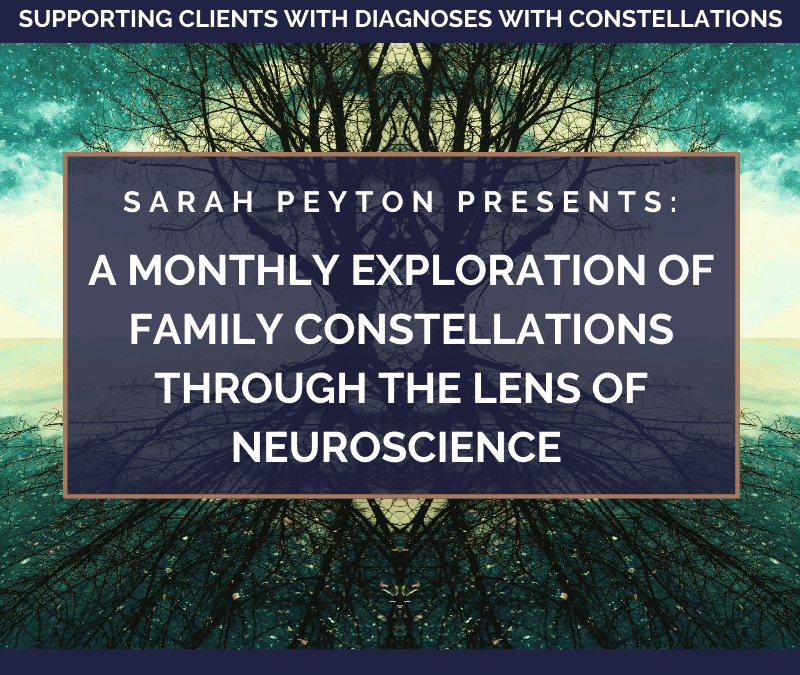 2022-2023 Neuroscience and Constellations: a Monthly Exploration – Supporting Clients with Diagnoses with Constellations