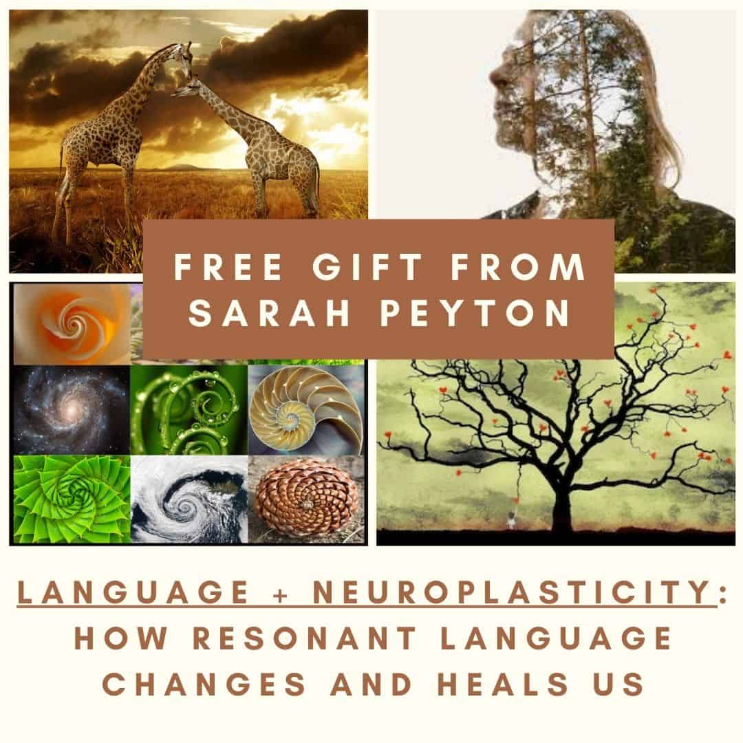 free gift 