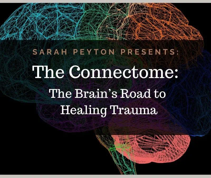The Connectome: The Brain’s Road to Healing Trauma