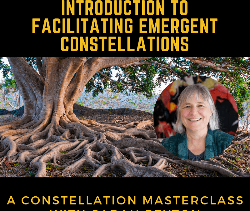 Introduction to Emergent Constellations Masterclass