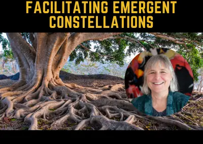 Introduction to Emergent Constellations Masterclass 2023