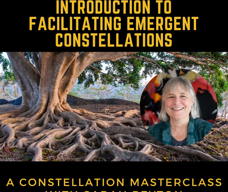 Introduction to Emergent Constellations 2023