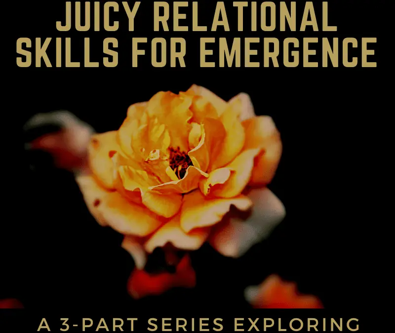 Juicy Relational Skills for Emergence (3-Part Workshop Series)