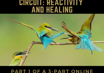 Protected: Juicy Relational Skills for Emergence Part 1: The EMERGENCE/SEXUALITY Circuit: Reactivity and Healing