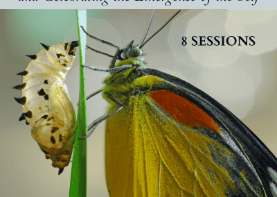 Protected: Reclaiming the SEXUALITY Circuit and Celebrating the Emergence of the Self