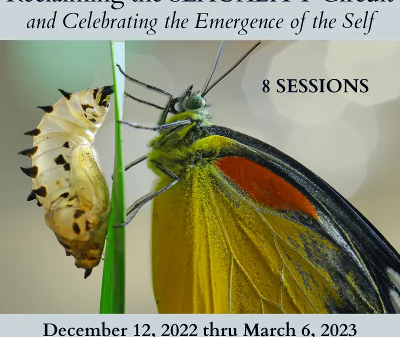 Reclaiming the SEXUALITY Circuit and Celebrating the Emergence of the Self