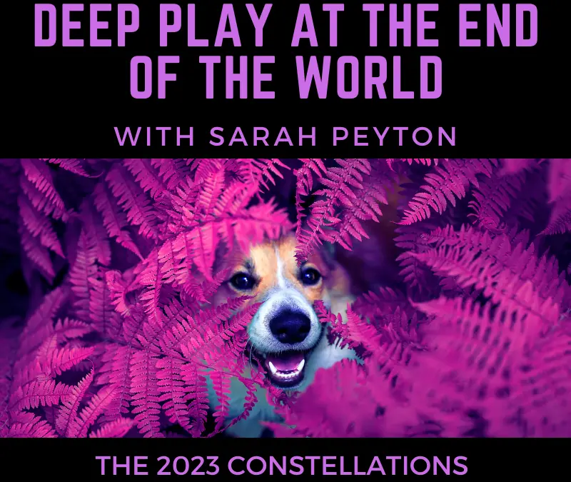 2023 Constellations Facilitation Masterclass Series