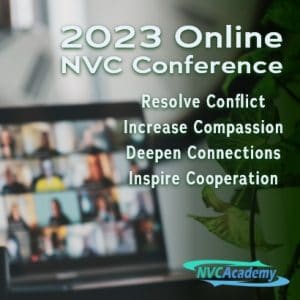 2023 Online NVC Conference