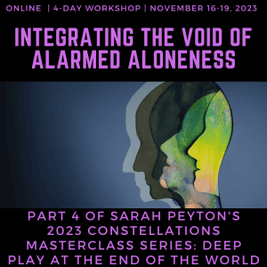 Integrating the Void of Alarmed Aloneness: Constellation Masterclass with Sarah Peyton