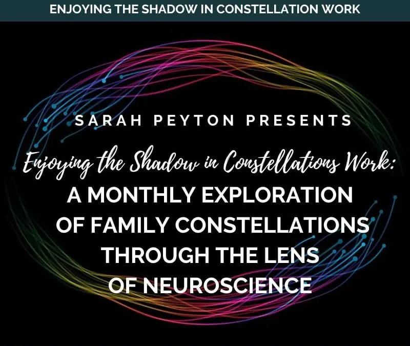 2023 Neuroscience and Constellations Series: Enjoying the Shadow In Constellation Work