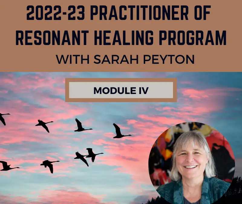 Certification Programme – Practitioner of Resonant Healing 2022-2023 – Module 4