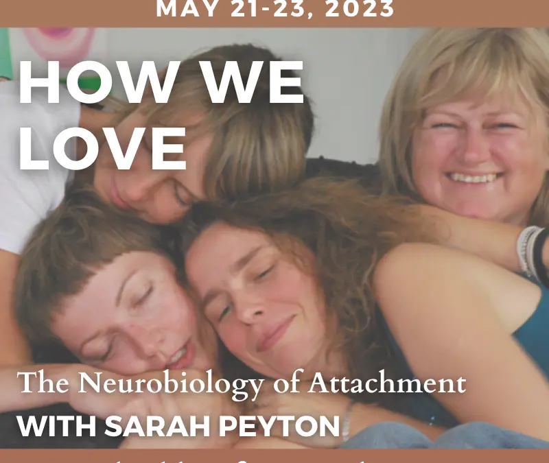 How We Love and What it Means for Us: The Neurobiology of Attachment