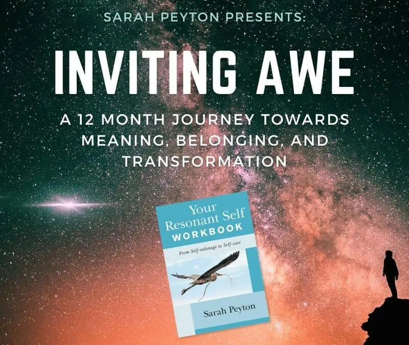 Inviting Awe: A 12-Month Journey towards Meaning, Belonging and Transformation