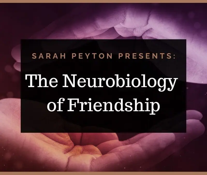 The Neurobiology of Friendship