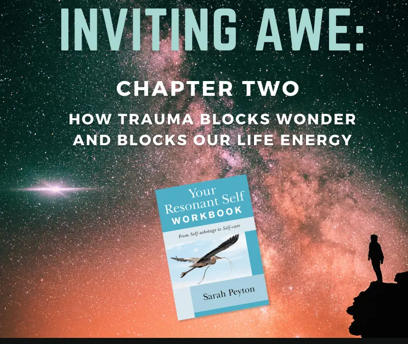 Inviting Awe: Chapter 2 – How Trauma Blocks Wonder, and Blocks our Life Energy