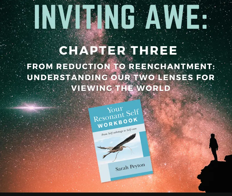 Inviting Awe: Chapter 3 – From Reduction to Reenchantment: Understanding our Two Lenses for Viewing the World