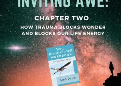 Inviting Awe: Chapter 2 – How Trauma Blocks Wonder, and Blocks our Life Energy