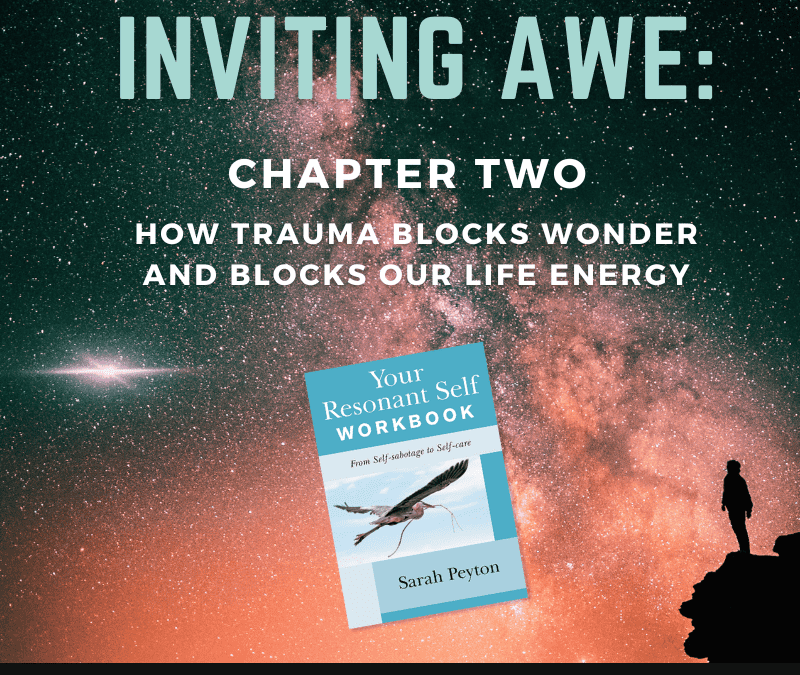 Inviting Awe: Chapter 2 – How Trauma Blocks Wonder, and Blocks our Life Energy
