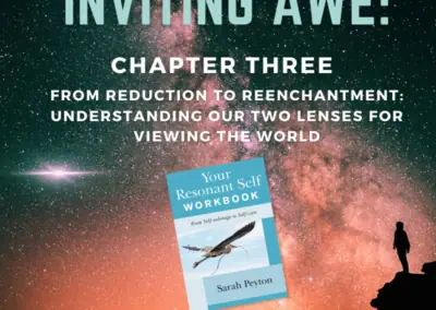 Inviting Awe: Chapter 3 – From Reduction to Reenchantment: Understanding our Two Lenses for Viewing the World
