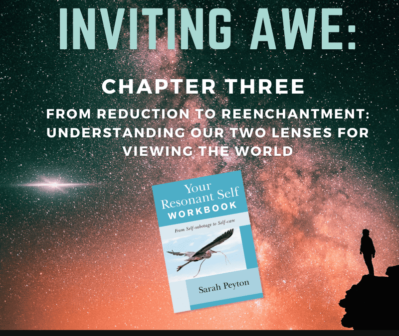 Inviting Awe: Chapter 3 – From Reduction to Reenchantment: Understanding our Two Lenses for Viewing the World