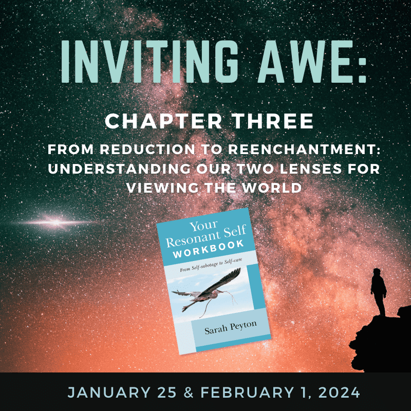 Inviting Awe: Chapter 3 – From Reduction to Reenchantment: Understanding our Two Lenses for Viewing the World