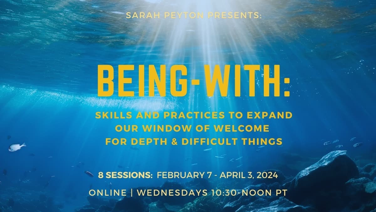 Being With: Skills and Practices to Expand Our Window of Welcome for ...
