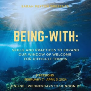 Being With: Skills and Practices to Expand Our Window of Welcome for Depth & Difficult Things