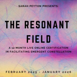 The Resonant Field: A 12-Month Certification Training in Emergent Constellations