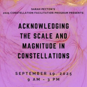 Acknowledging Scale and Magnitude in Constellations