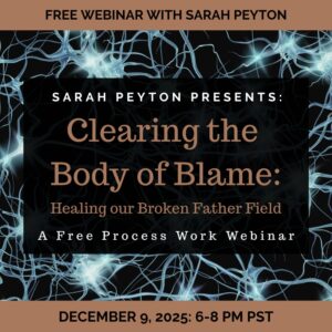 2025 Free December Process Work Webinar
