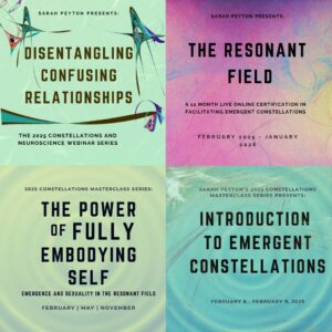 Special Offer – A Year of Constellations with Sarah Peyton