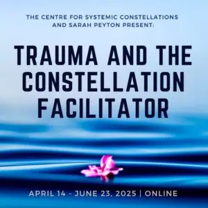 Trauma and the Constellation Facilitator: Identification, Tools and Healing