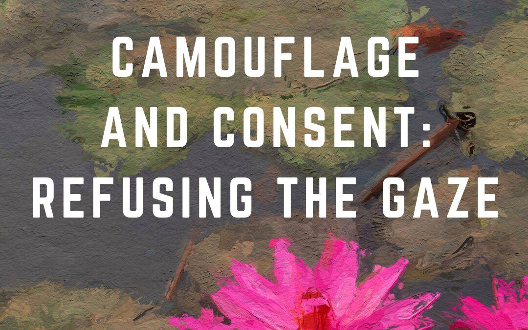 2026 Masterclass Series – Camouflage and Consent – Refusing the Gaze