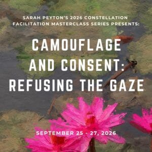 Camouflage and Consent: Refusing the Gaze