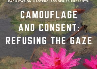 Camouflage and Consent: Refusing the Gaze