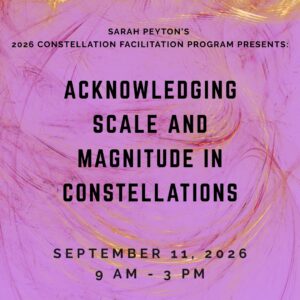 The Resonant Field 2026 – Module 8 – Acknowledging Scale and Magnitude in Constellations