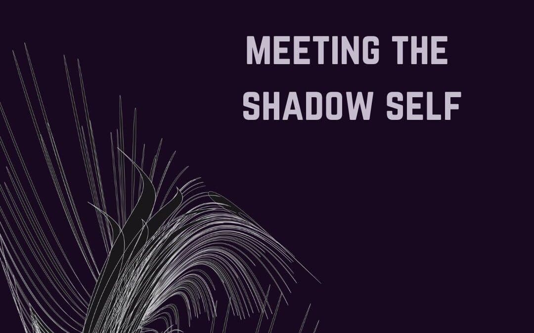 Meeting the Shadow Self: an Emergent Constellations View