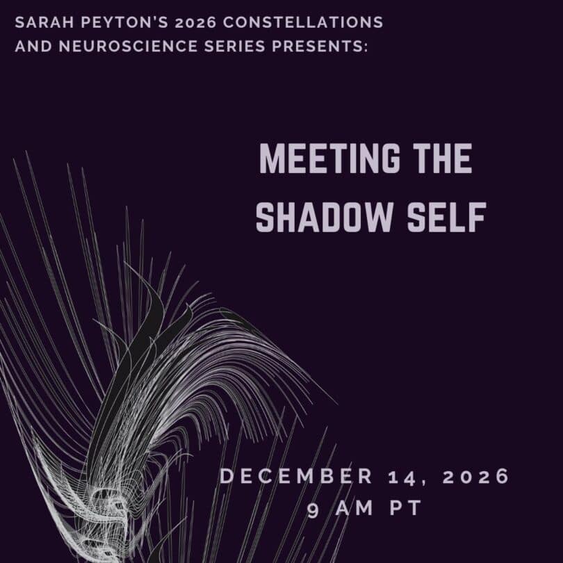 Meeting the Shadow Self: an Emergent Constellations View