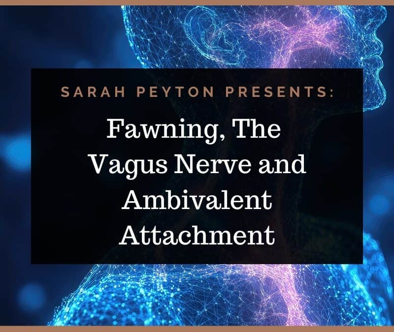 Fawning, the Vagus Nerve and Ambivalent Attachment
