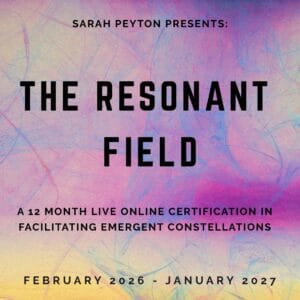 Series Bundle – The Resonant Field – 2026