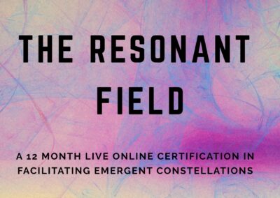 Series Bundle – The Resonant Field – 2026