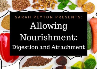 The 2026 Resonance and Neuroscience Series – Allowing Nourishment: Digestion and Attachment