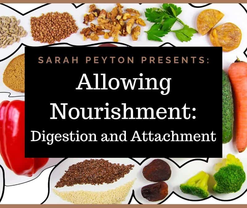 Allowing Nourishment – Digestion and Attachment