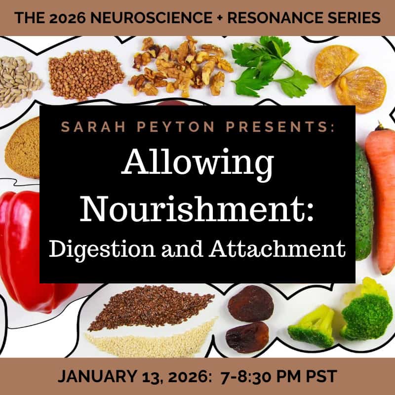 The 2026 Resonance and Neuroscience Series - Allowing Nourishment: Digestion and Attachment