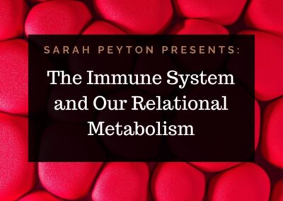 The 2026 Resonance and Neuroscience Series – The Immune System and our Relational Metabolism