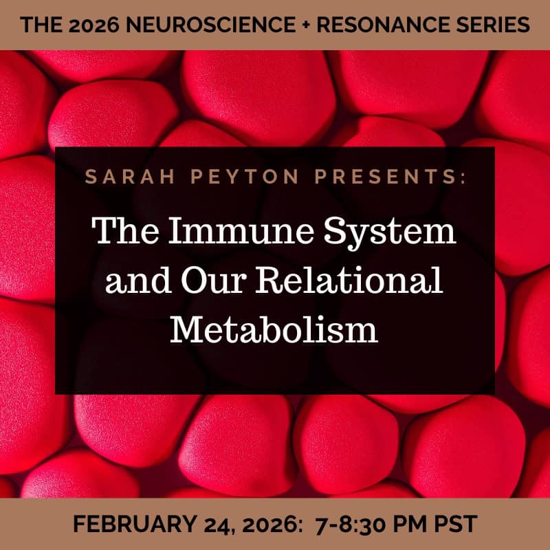 The 2026 Resonance and Neuroscience Series - The Immune System and our Relational Metabolism